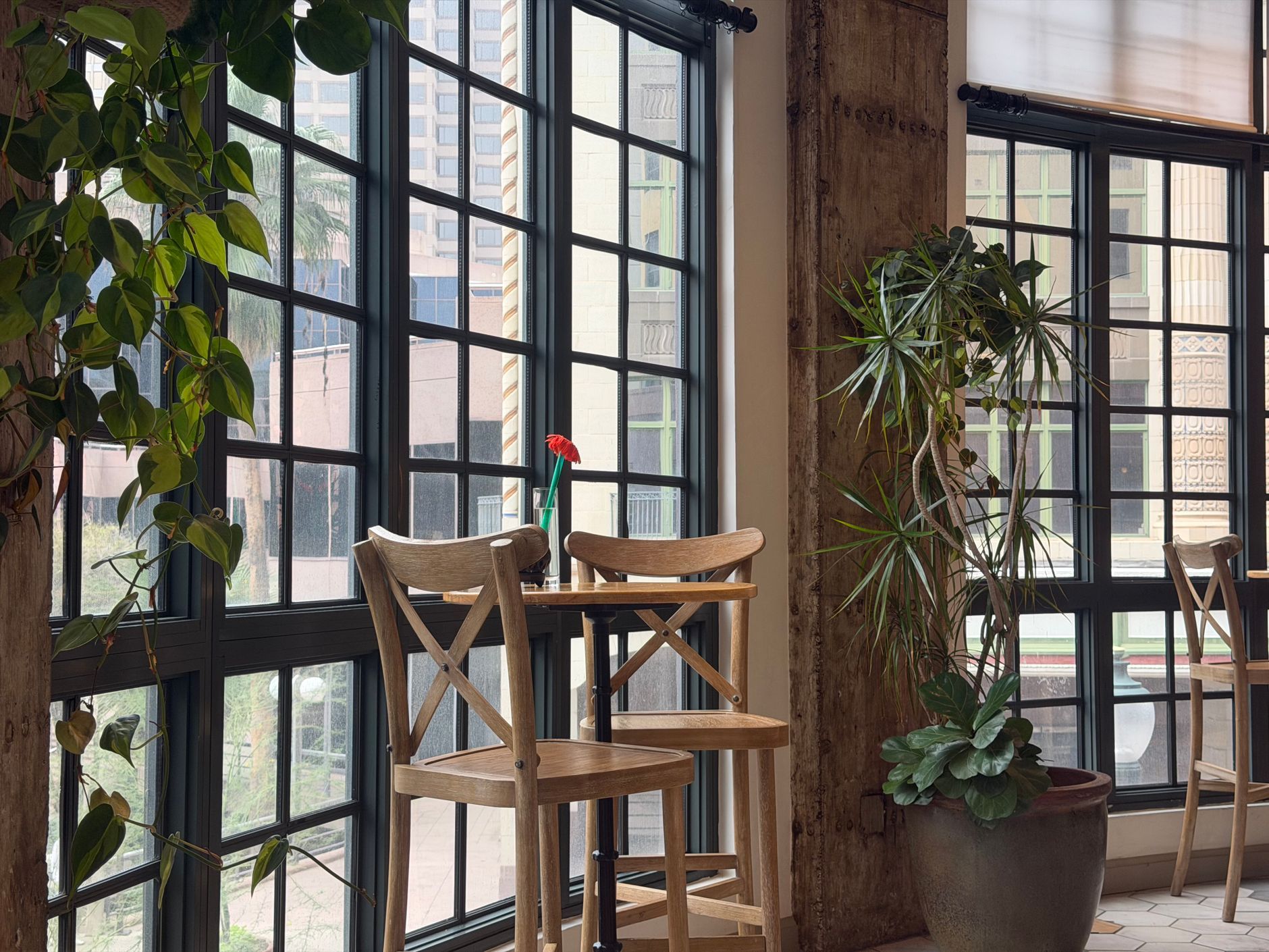 Café tables and plants